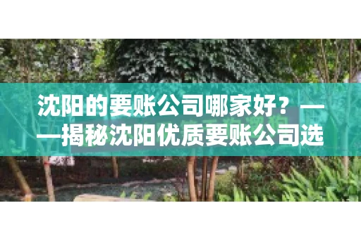 沈阳的要账公司哪家好？——揭秘沈阳优质要账公司选择指南