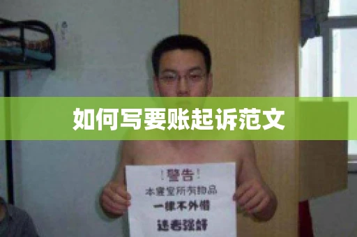 如何写要账起诉范文