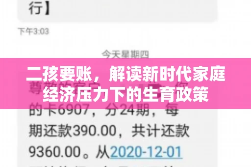 二孩要账，解读新时代家庭经济压力下的生育政策