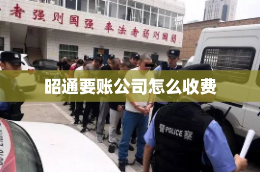 昭通要账公司怎么收费