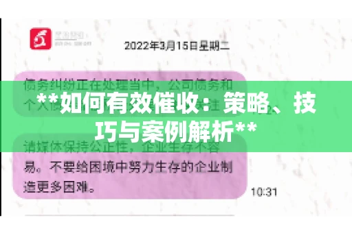 **如何有效催收：策略、技巧与案例解析**