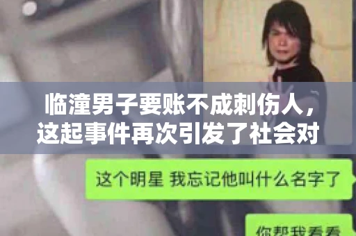 临潼男子要账不成刺伤人，这起事件再次引发了社会对讨债行为的关注。在这个故事中，我们不仅要了解事件的经过，还要思考如何避免类似悲剧的发生。