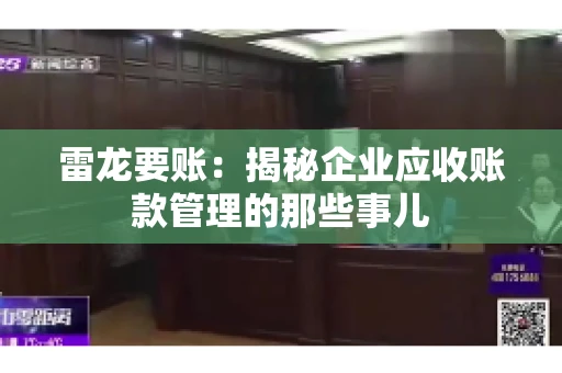 雷龙要账：揭秘企业应收账款管理的那些事儿