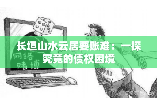 长垣山水云居要账难：一探究竟的债权困境