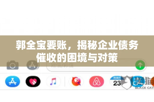 郭全宝要账,揭秘企业债务催收的困境与对策 郭全宝要账,揭秘企业债务催收的困境与对策