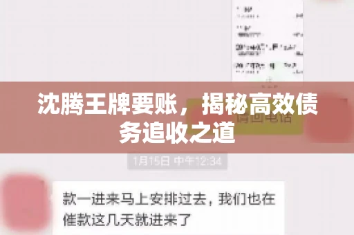 沈腾王牌要账,揭秘高效债务追收之道 沈腾王牌要账,揭秘高效债务追收之道