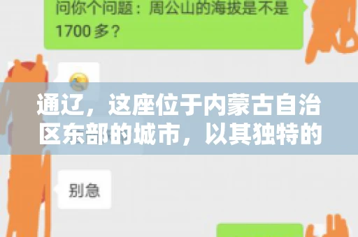 通辽，这座位于内蒙古自治区东部的城市，以其独特的地理位置和丰富的自然资源而闻名。然而，对于许多企业来说，通辽的另一个重要角色可能是其作为要账公司的聚集地。那么，通辽究竟有几家要账公司呢？今天，我们就来聊聊这个话题。