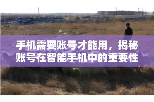 手机需要账号才能用，揭秘账号在智能手机中的重要性